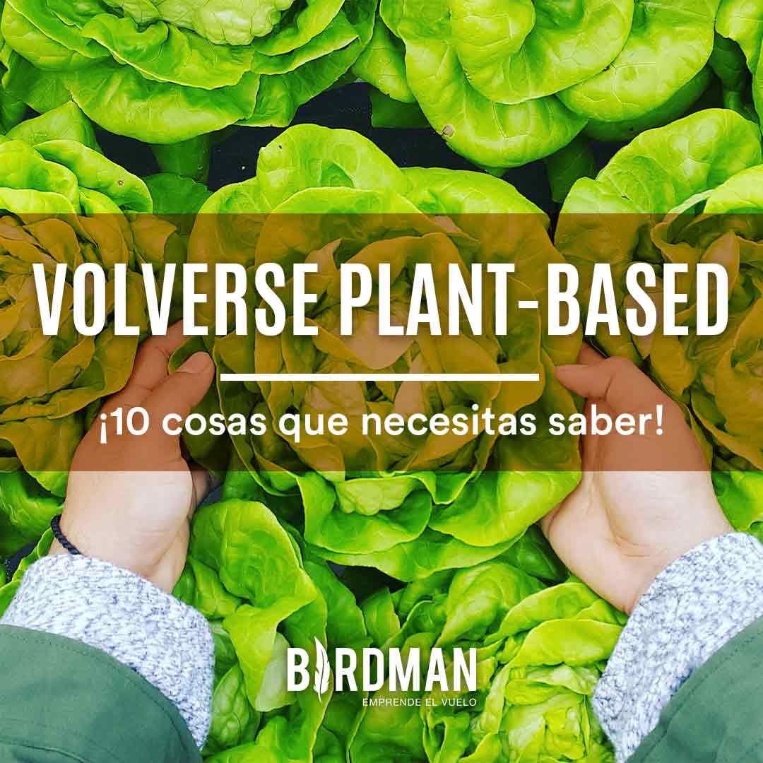 10 Cosas que Desearía Haber Sabido Antes de Volverme Plant-Based | VidaBirdman
