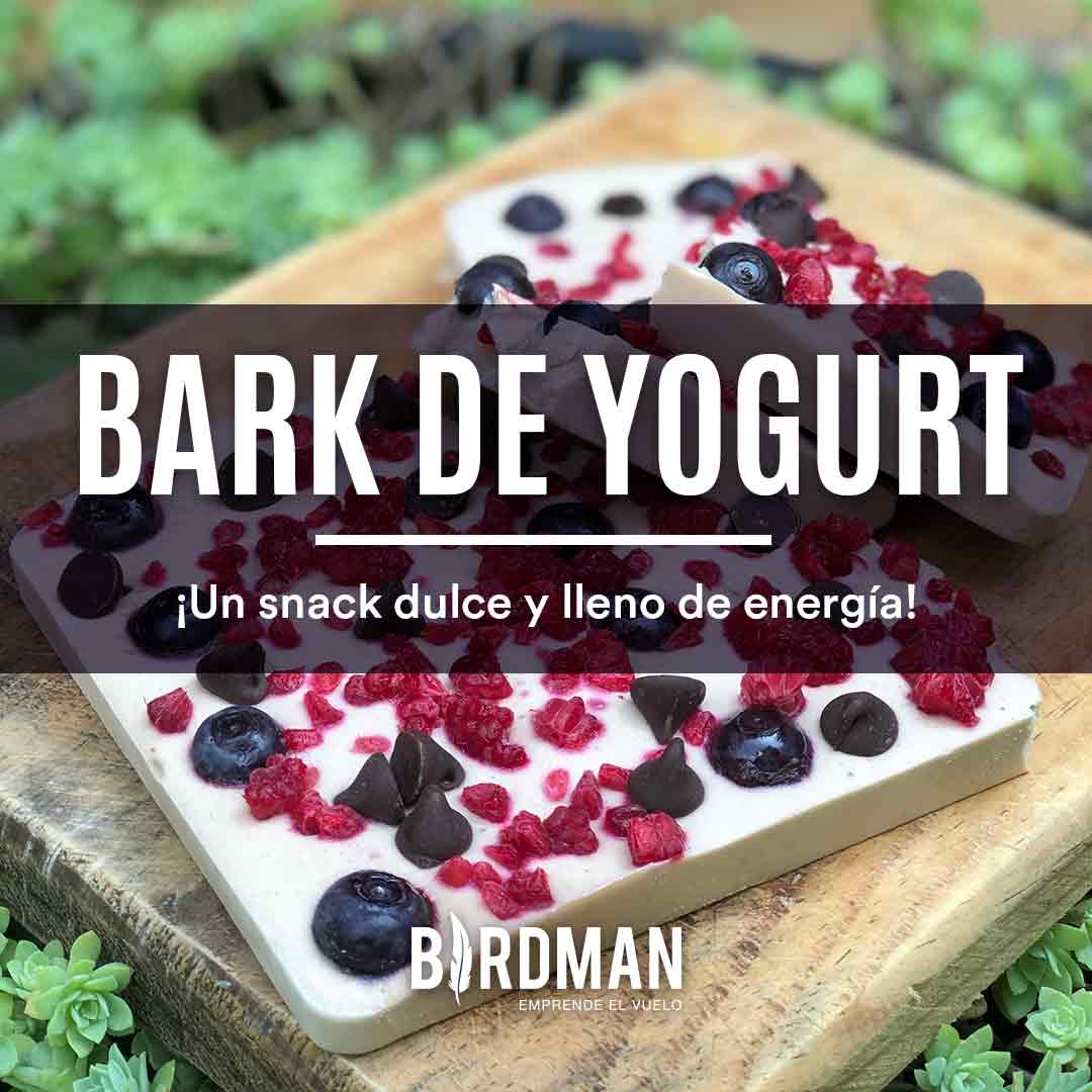 Bark de Yogurt Vegano con Proteína | VidaBirdman