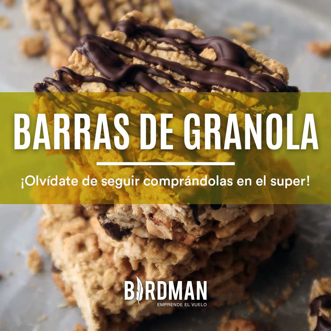 Barritas de Granola, Peanut Butter y Chocolate | VidaBirdman