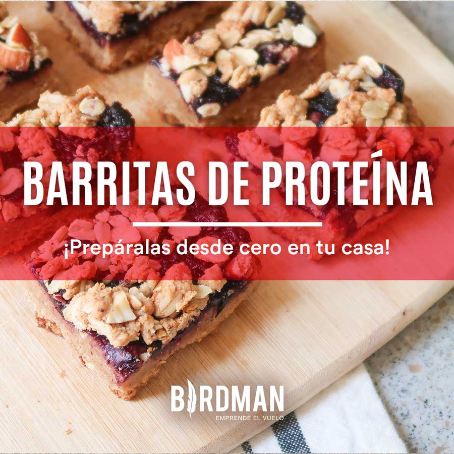 Barritas de Proteína Caseras | VidaBirdman