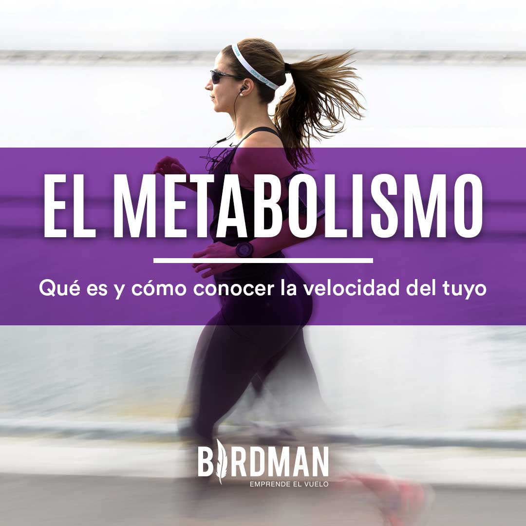 El Metabolismo: Todo lo que Necesitas Saber | VidaBirdman