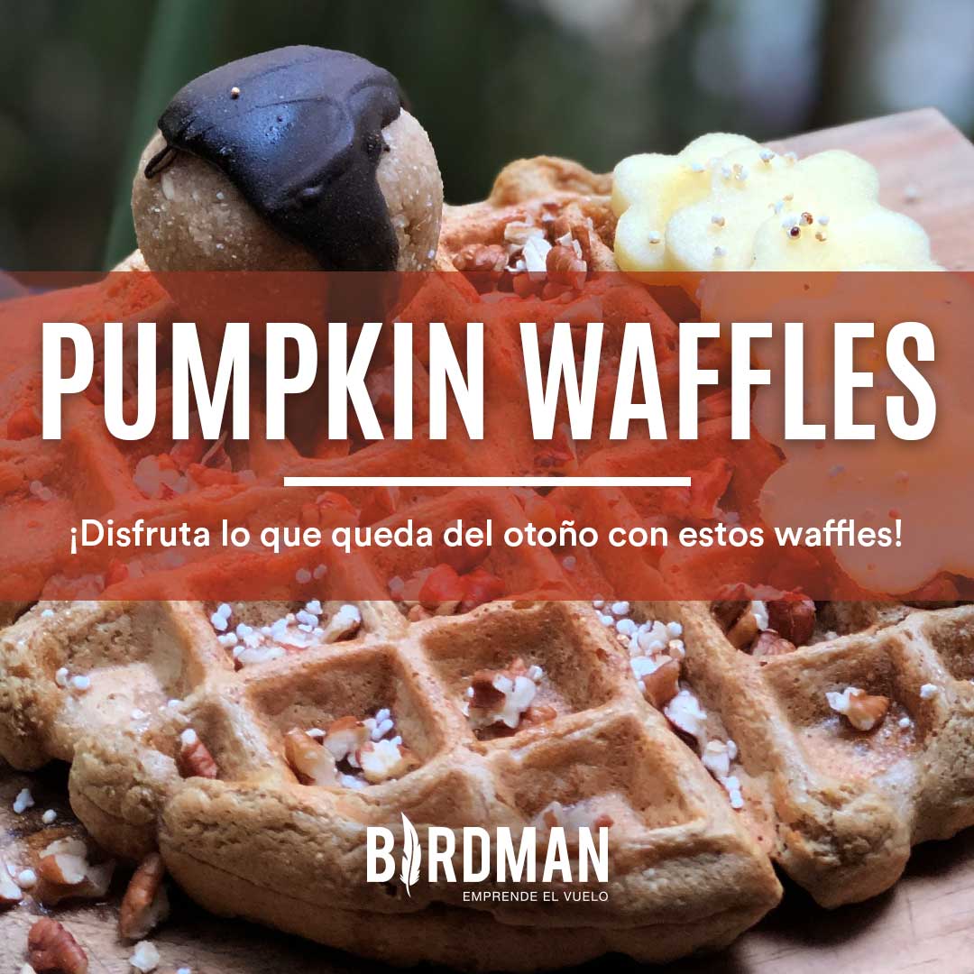 Falcon Pumpkin Waffles | VidaBirdman