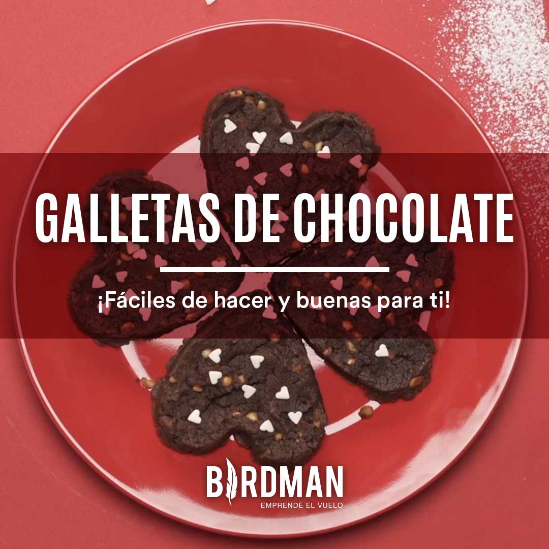 Galletas Chocolatosas con Falcon | VidaBirdman