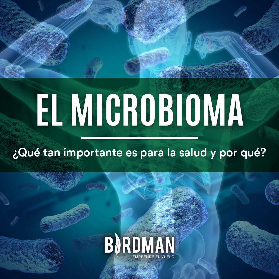 La Importancia del Microbioma | VidaBirdman