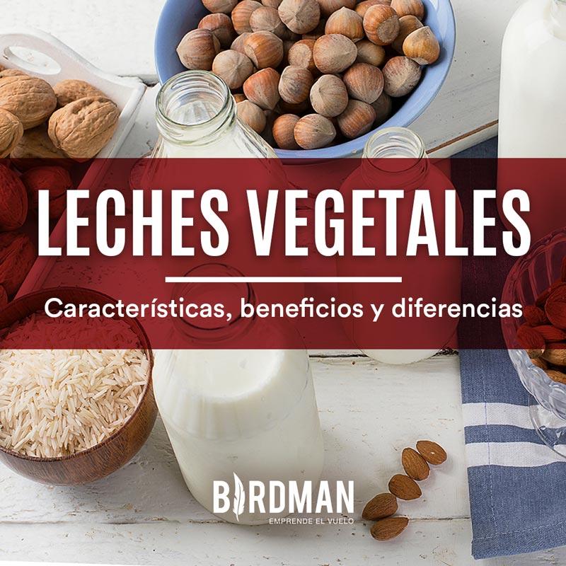 Las Leches Vegetales Comparadas | VidaBirdman