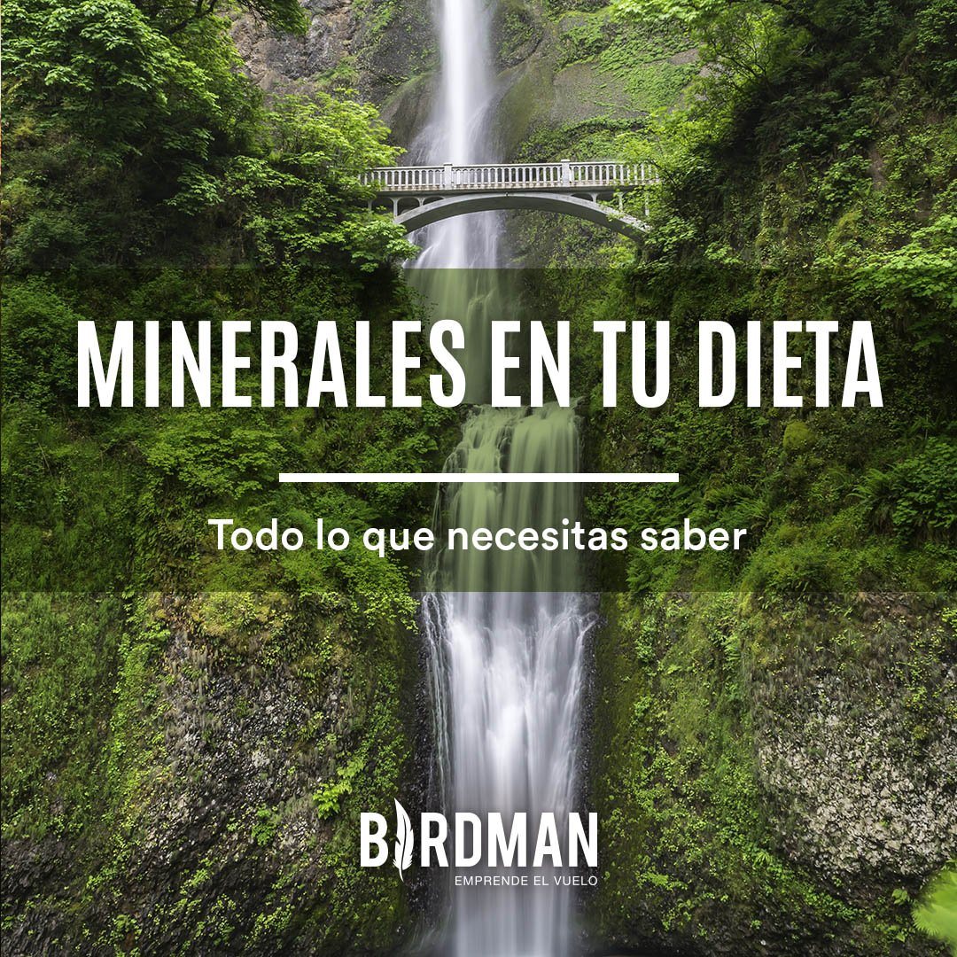 Macrominerales y Minerales Traza | VidaBirdman