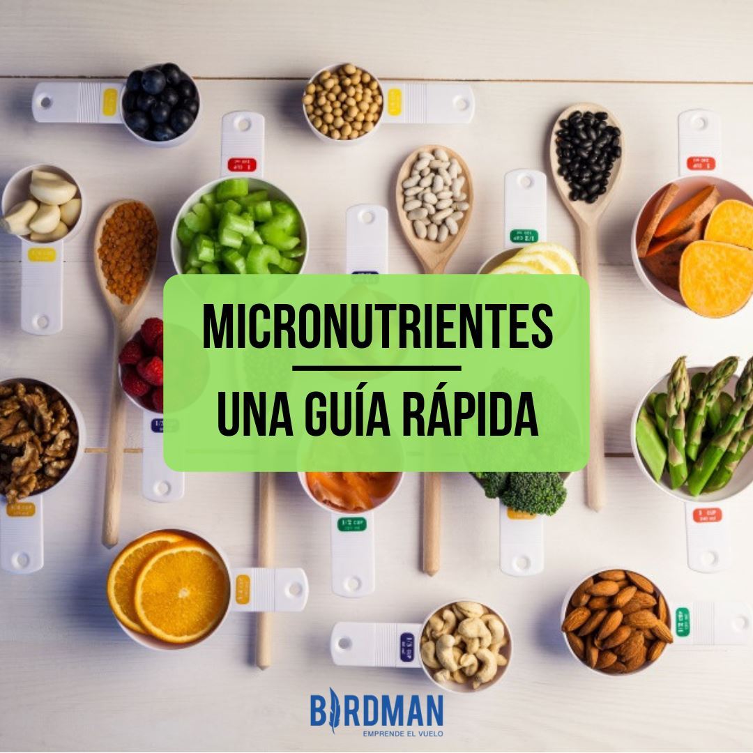Micronutrientes: Una Guía Rápida y Completa | VidaBirdman