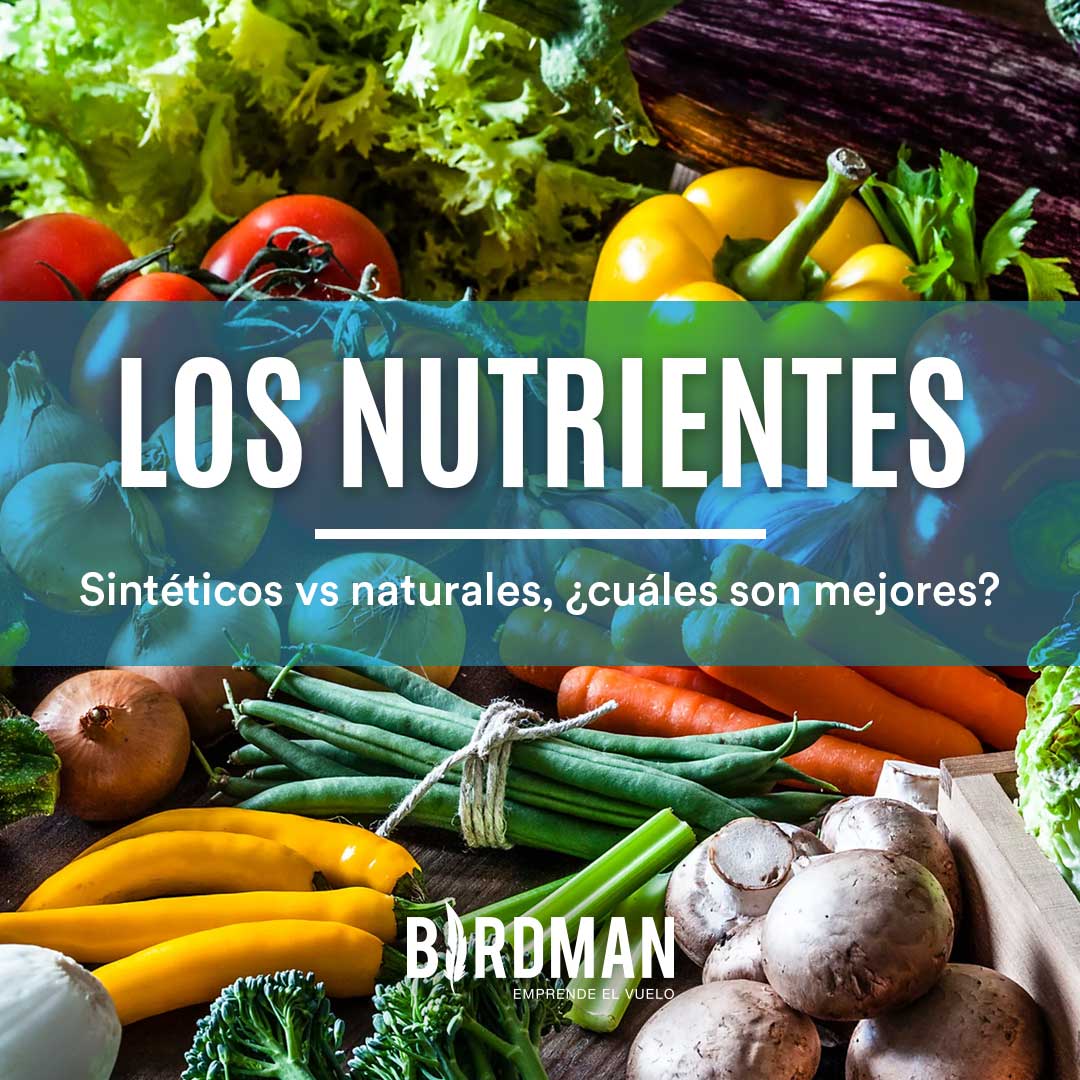 Nutrientes sintéticos Vs. Naturales: ¿Hay Diferencia? | VidaBirdman