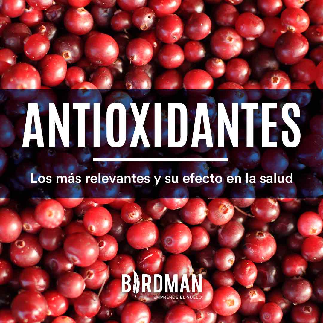 ¿Para qué Sirven los Antioxidantes? | VidaBirdman