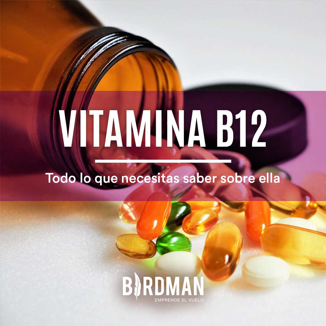 Todo lo Que Necesitas Saber Sobre la Vitamina B12 | VidaBirdman