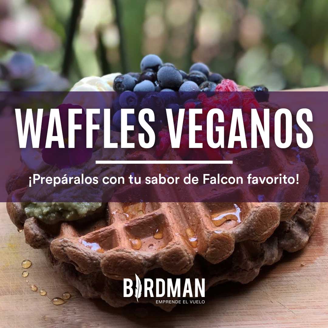 Waffles Veganos de Chocolate | VidaBirdman